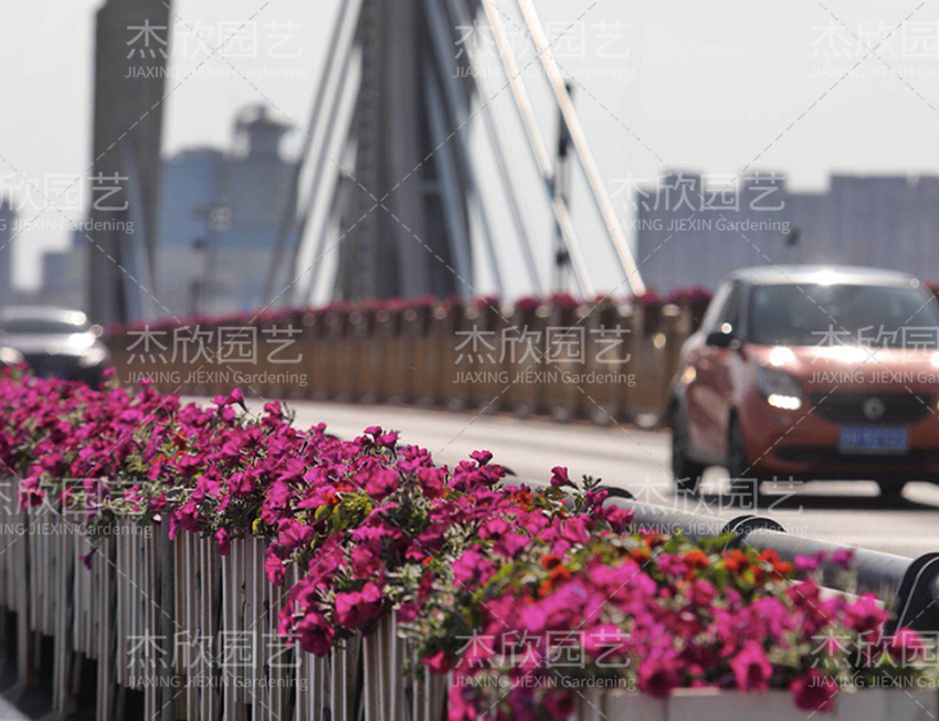 鋁合金創(chuàng)意花箱有哪些款式？